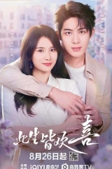 此生皆欢喜 此生皆欢喜