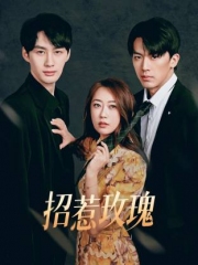 招惹玫瑰 招惹玫瑰