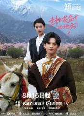 去桃花盛开的地方 去桃花盛开的地方