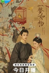 一梦如初 一梦如初