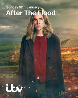 洪水之后第二季 洪水之后第二季